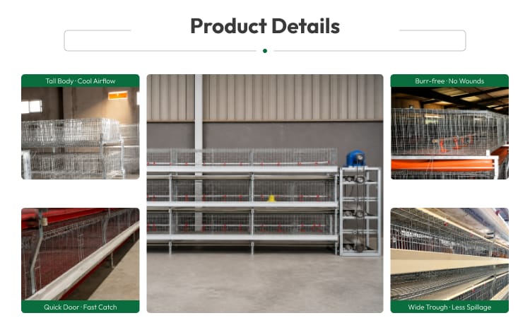 New H Frame Broiler Cage Automatic Hot Dipped Galvanized Steel Multi Tier Poultry Farming Equipment Large Commercial House