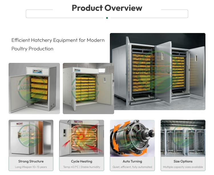 Hatcher Incubator Equipment Fully Automatic Egg Incubator For Poultry Emu High Hatching Rate Stainless Steel Construction