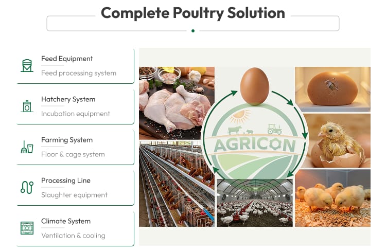 Hatcher Incubator Equipment Fully Automatic Egg Incubator For Poultry Emu High Hatching Rate Stainless Steel Construction