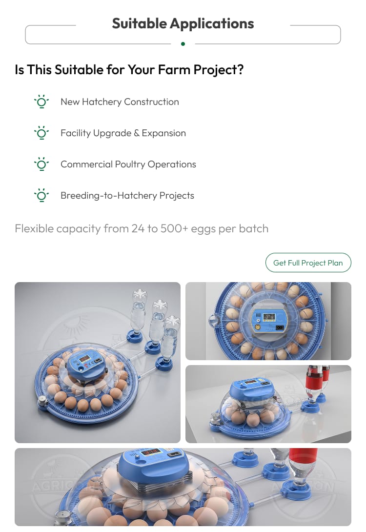 New Mini Plastic Home Egg Incubator With Smart Temperature Control And Automatic Egg Turning For Poultry Hatching