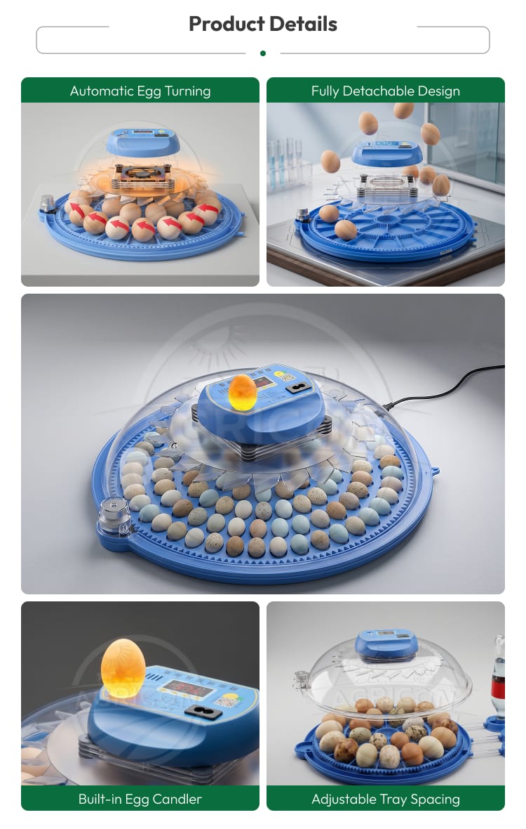 New Mini Plastic Home Egg Incubator With Smart Temperature Control And Automatic Egg Turning For Poultry Hatching