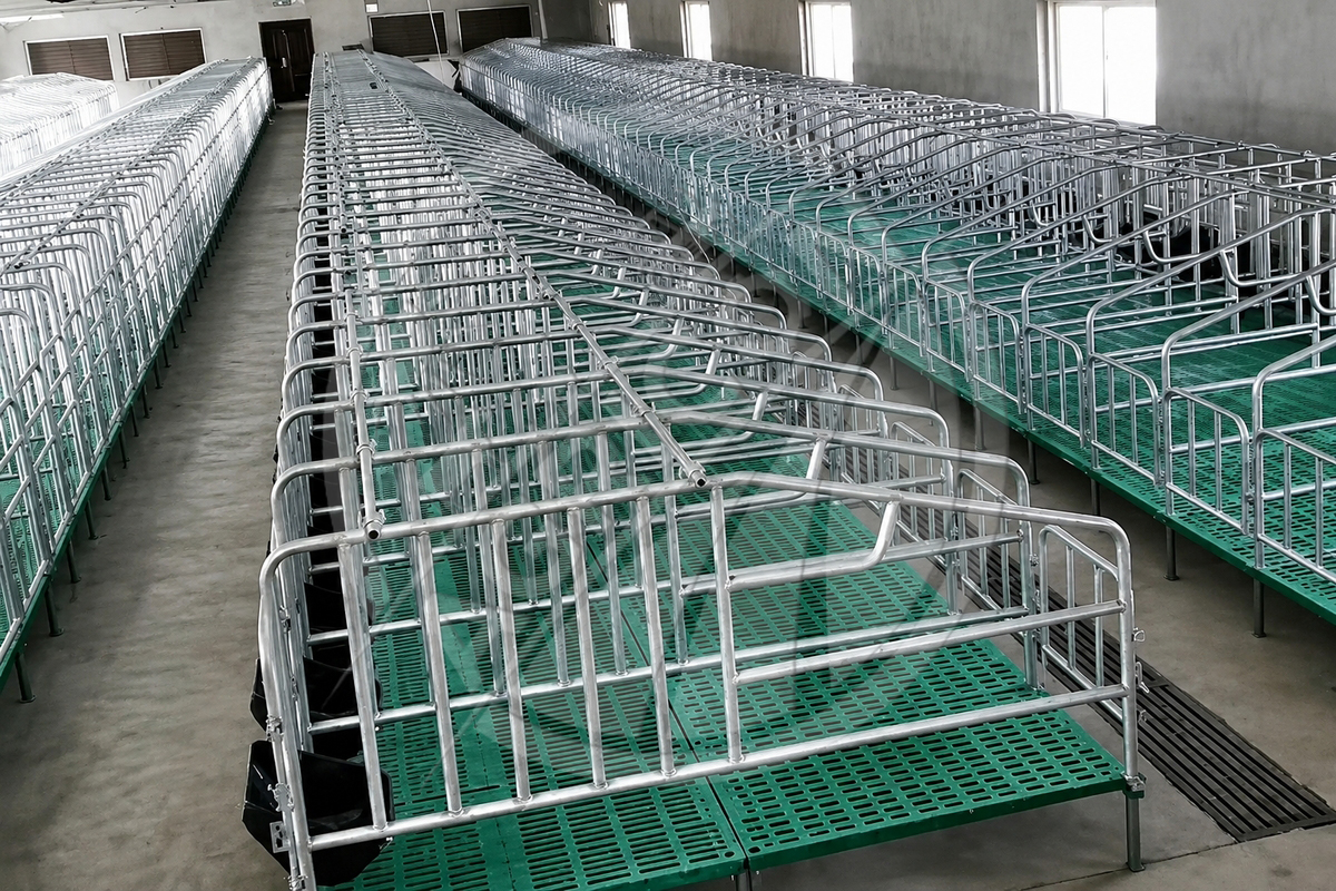Automatic Pig Crate Gestation Pen Stall For Sow Pig Heavy Duty Galvanized Steel For Pig Farms Retail Industries Breeding Housing