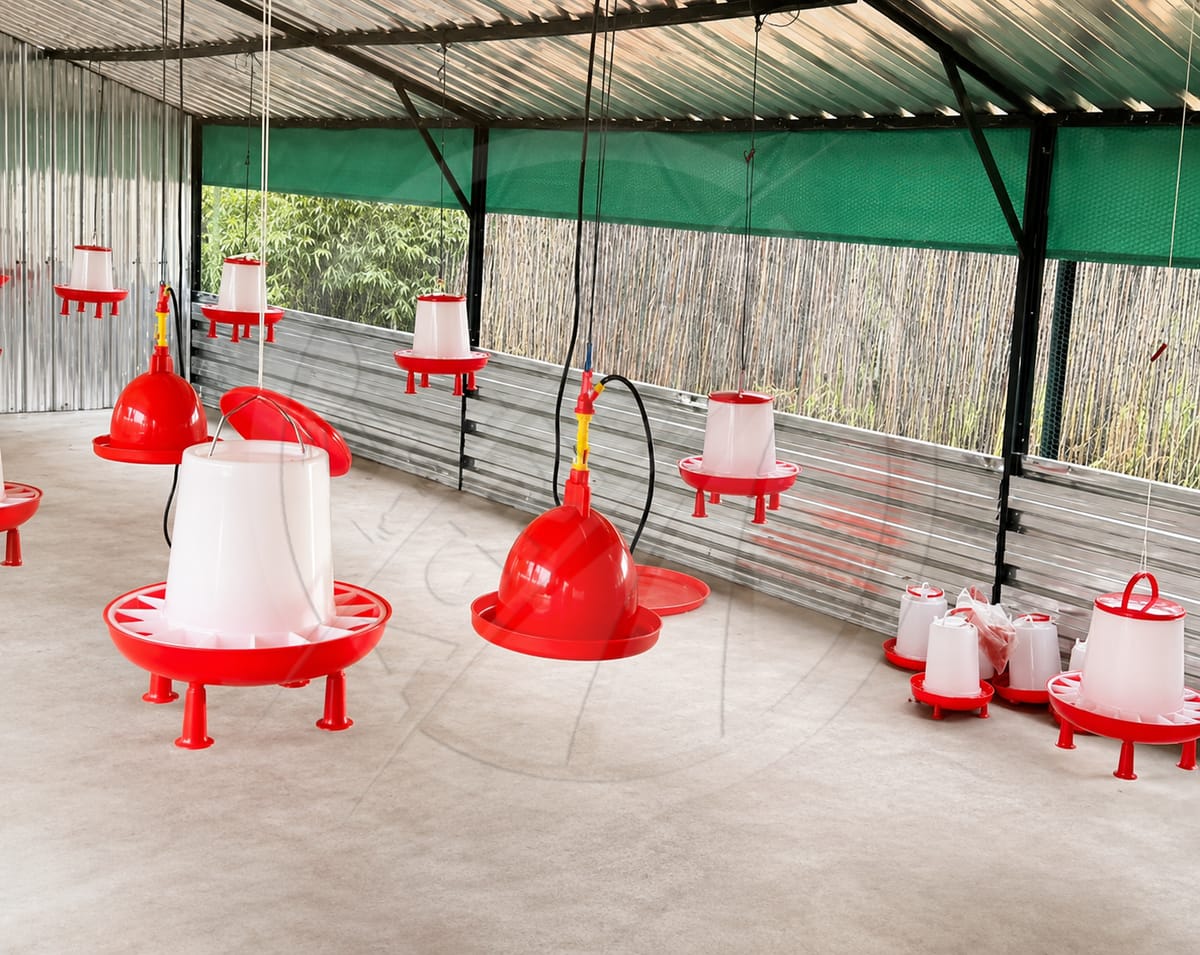 Plasson Bell Drinker Automatic Poultry Waterer For Chicken Broiler Layer Duck Goose Breeder Turkey Small Medium Large Hanging
