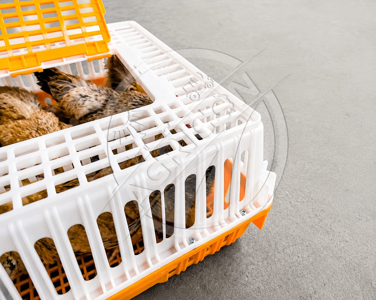 New Plastic Poultry Transport Crate Stackable Chicken Cage Sliding Door Ventilated Pp Live Birds Duck Pigeon Carrier Box Agricon