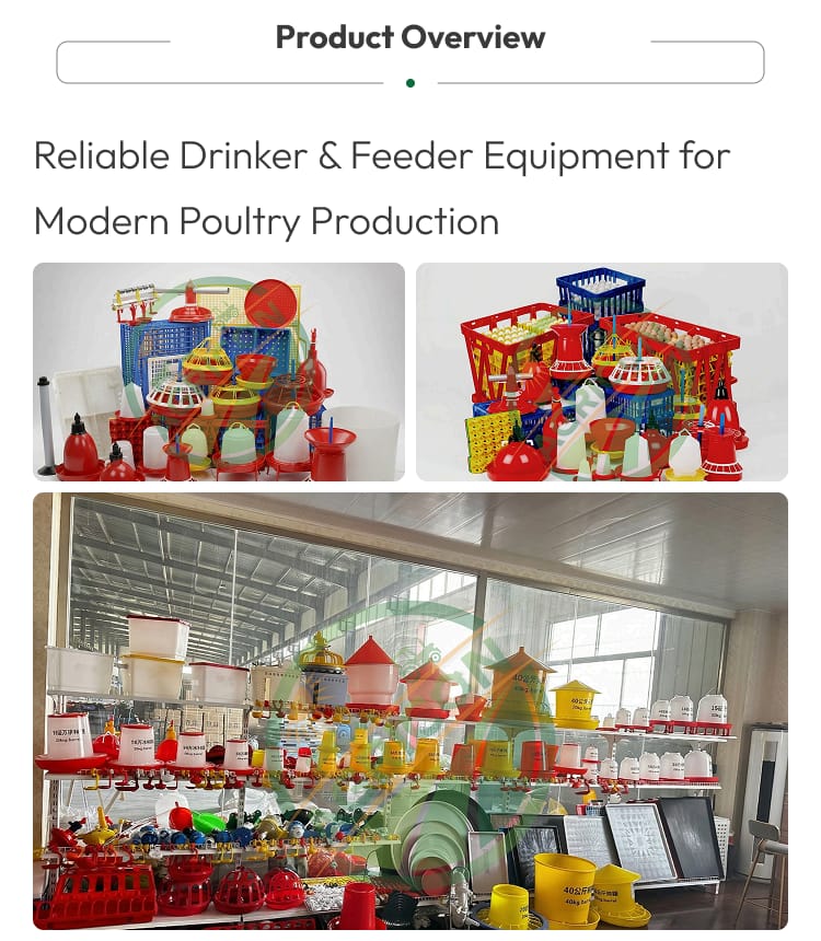 New Hot Selling Agricon Poultry Feeding Watering Bell Set 1.5-16l Pvc High Capacity Simple To Use Budget Friendly Farm
