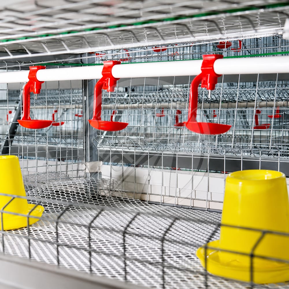 New Automatic Poultry Drinking Cup Nipple Drinker Plastic Water-saving Environmental Protection Chicken Drinking Cups Cage Water