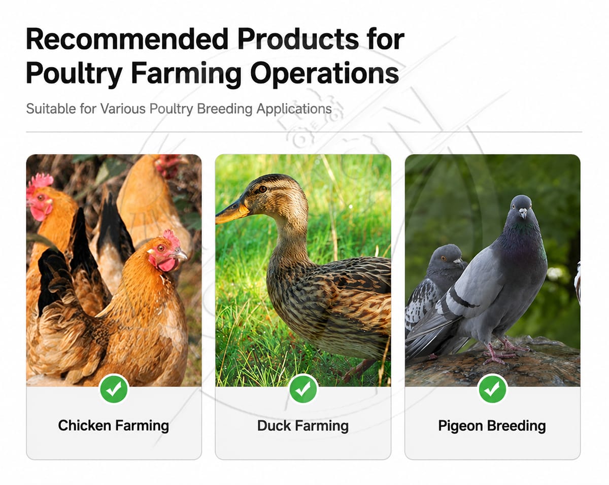New Automatic Poultry Drinking Cup Nipple Drinker Plastic Water-saving Environmental Protection Chicken Drinking Cups Cage Water