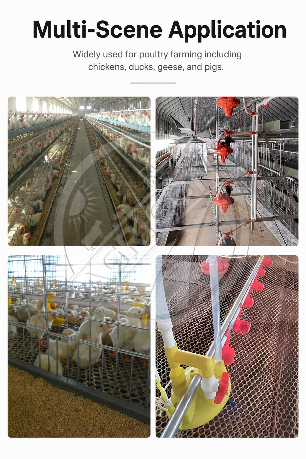 New Poultry Water Pressure Regulator Automatic Adjustable Pressure Reducing Valve Pp Plastic Customized Size Multi-animal Use