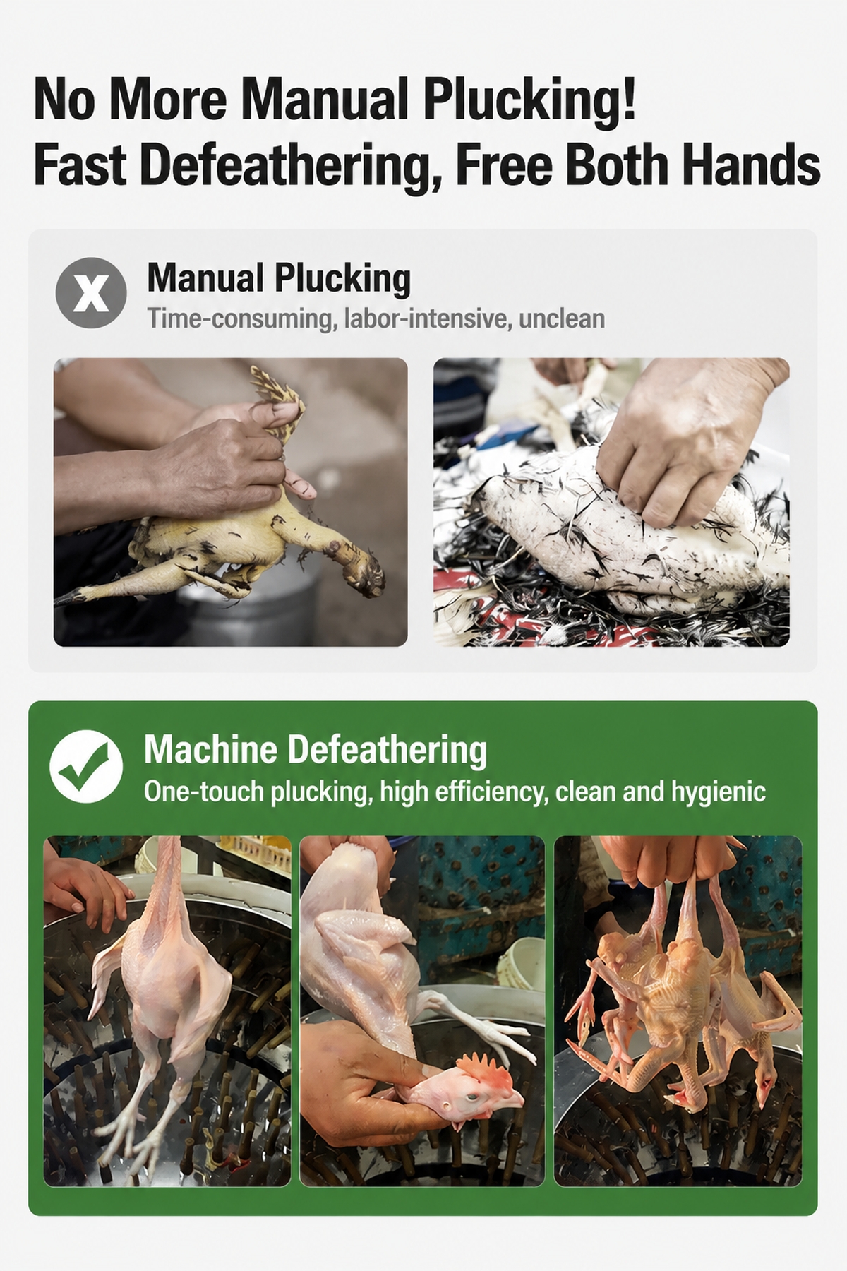 Wholesale Commercial Stainless Steel Chicken Plucker Machine 1-10 Birds Per Hour Automatic Feather Removal For Farm Processing