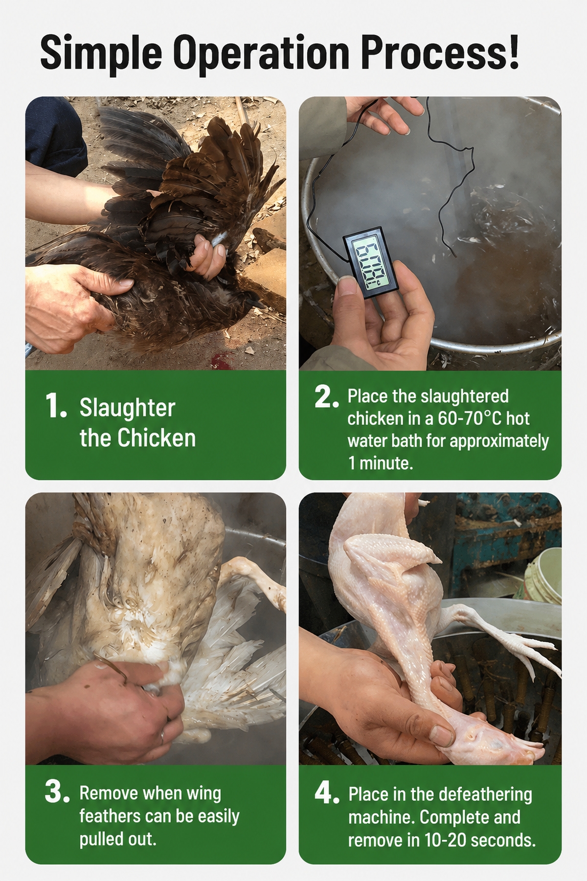 Wholesale Commercial Stainless Steel Chicken Plucker Machine 1-10 Birds Per Hour Automatic Feather Removal For Farm Processing