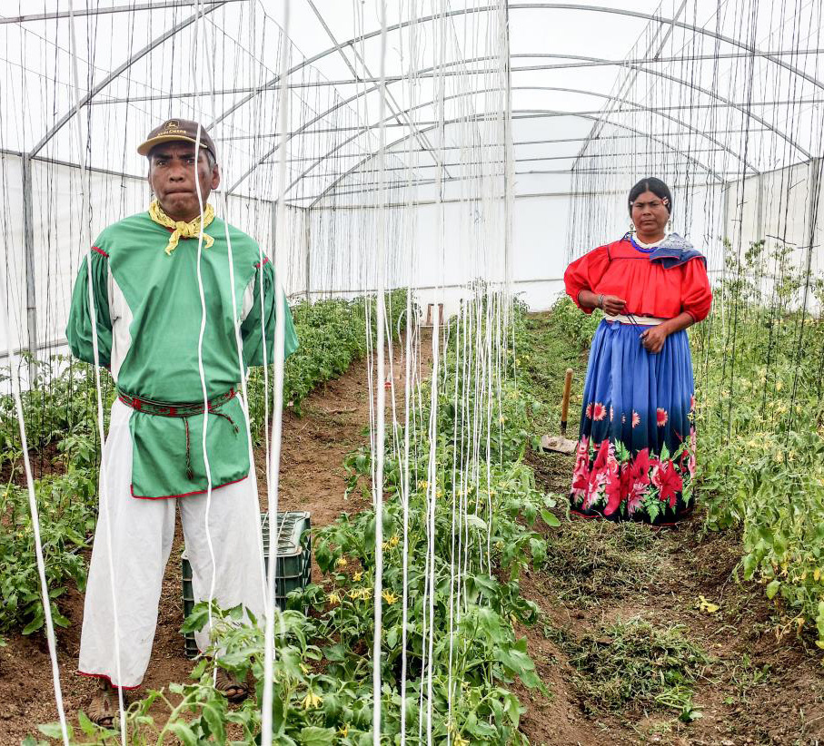 Ecuador Greenhouse Project supporting photo 1