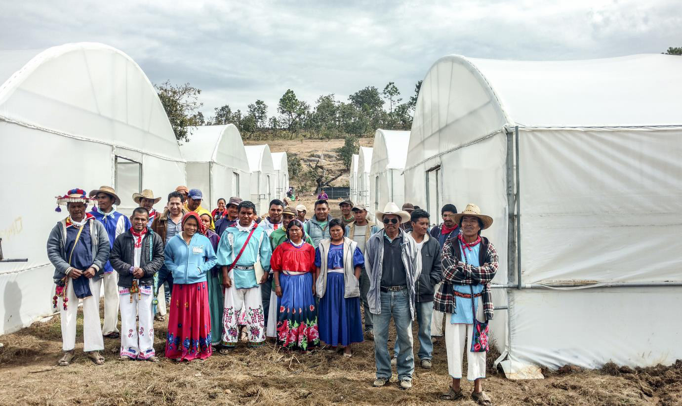Ecuador Greenhouse Project
