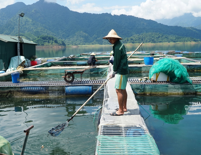Fish Farm Equipment Package supporting photo 1