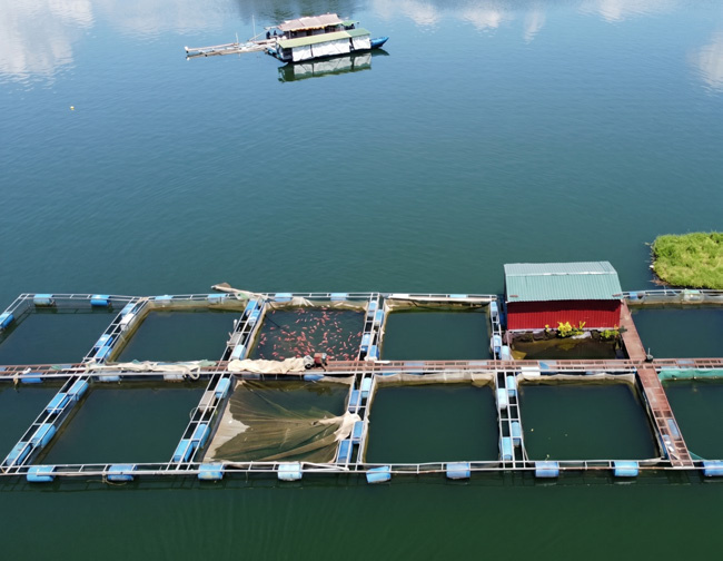 Fish Farm Equipment Package supporting photo 2
