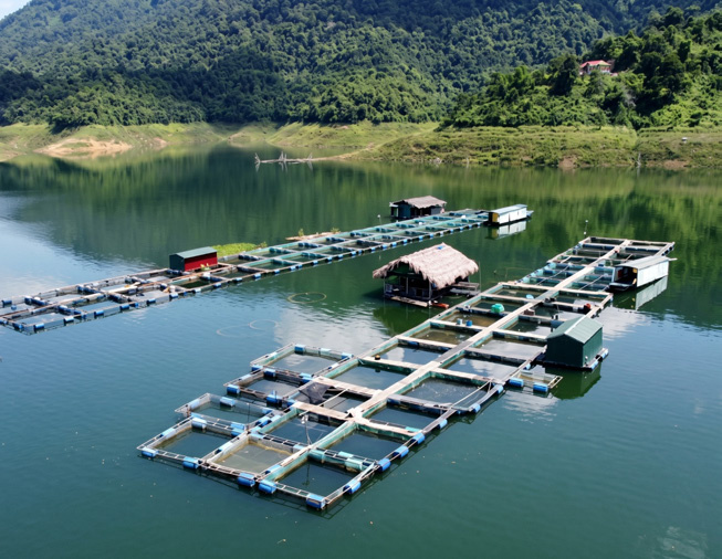 Fish Farm Equipment Package supporting photo 3