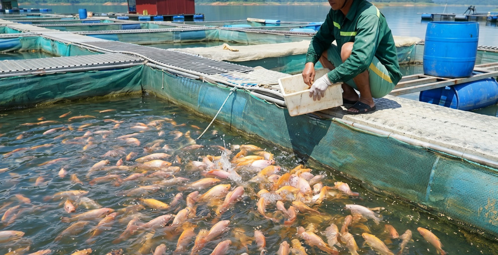Fish Farm Equipment Package
