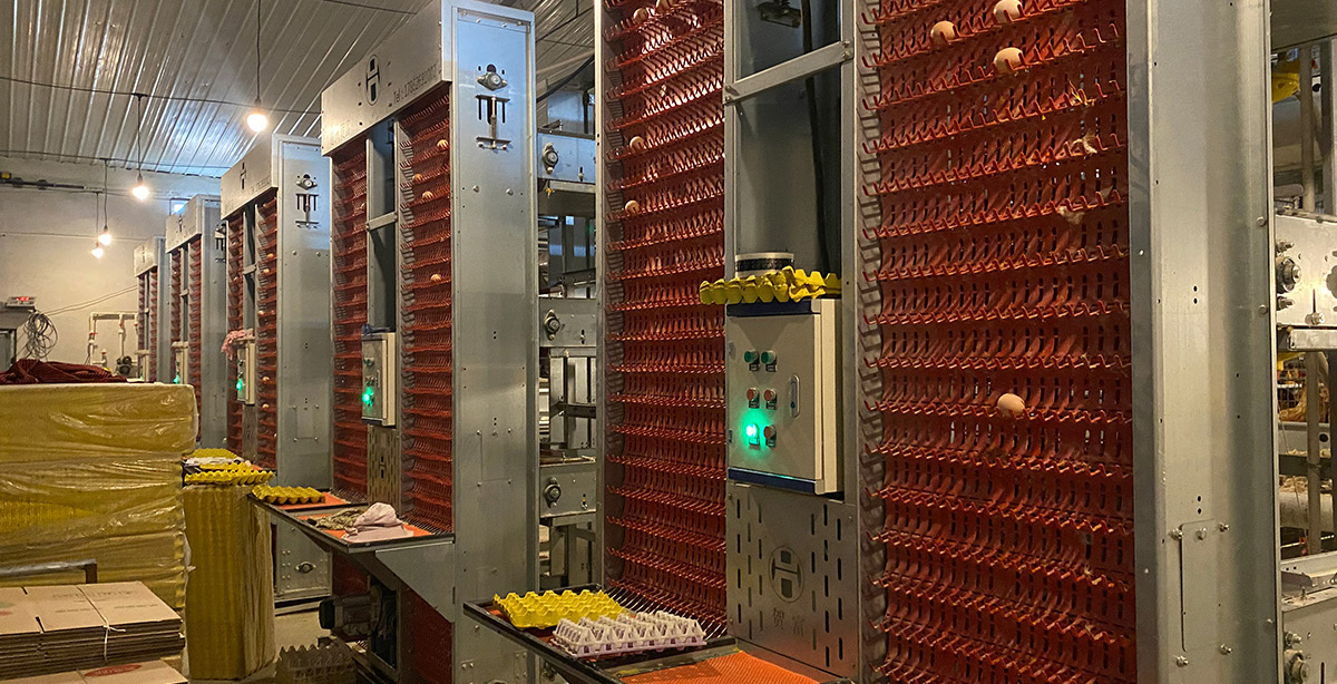 Kenya Layer Farm Expansion