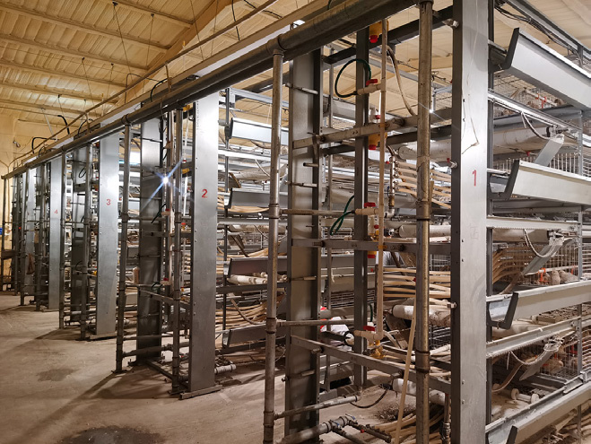 Nigeria Feed Production Support