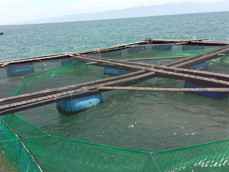 Philippines Fish Cage Farm Support supporting photo 3