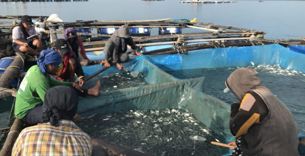 Philippines Fish Cage Farm Support