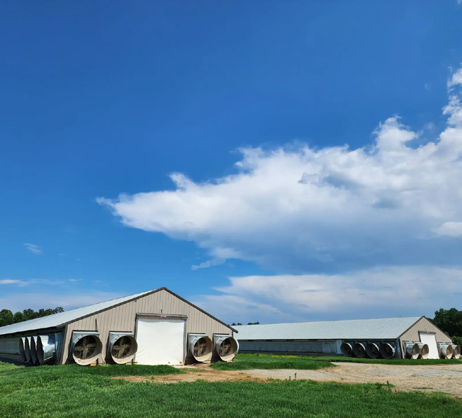 Tanzania Poultry House Ventilation supporting photo 1