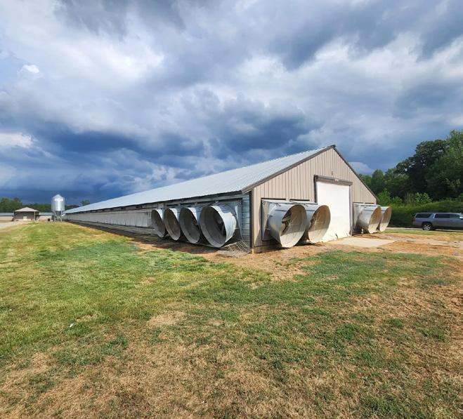 Tanzania Poultry House Ventilation supporting photo 2