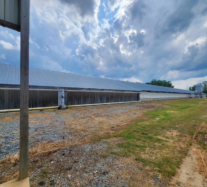 Tanzania Poultry House Ventilation supporting photo 3