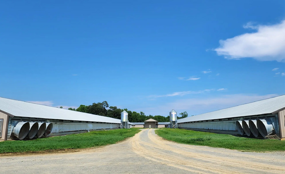 Tanzania Poultry House Ventilation