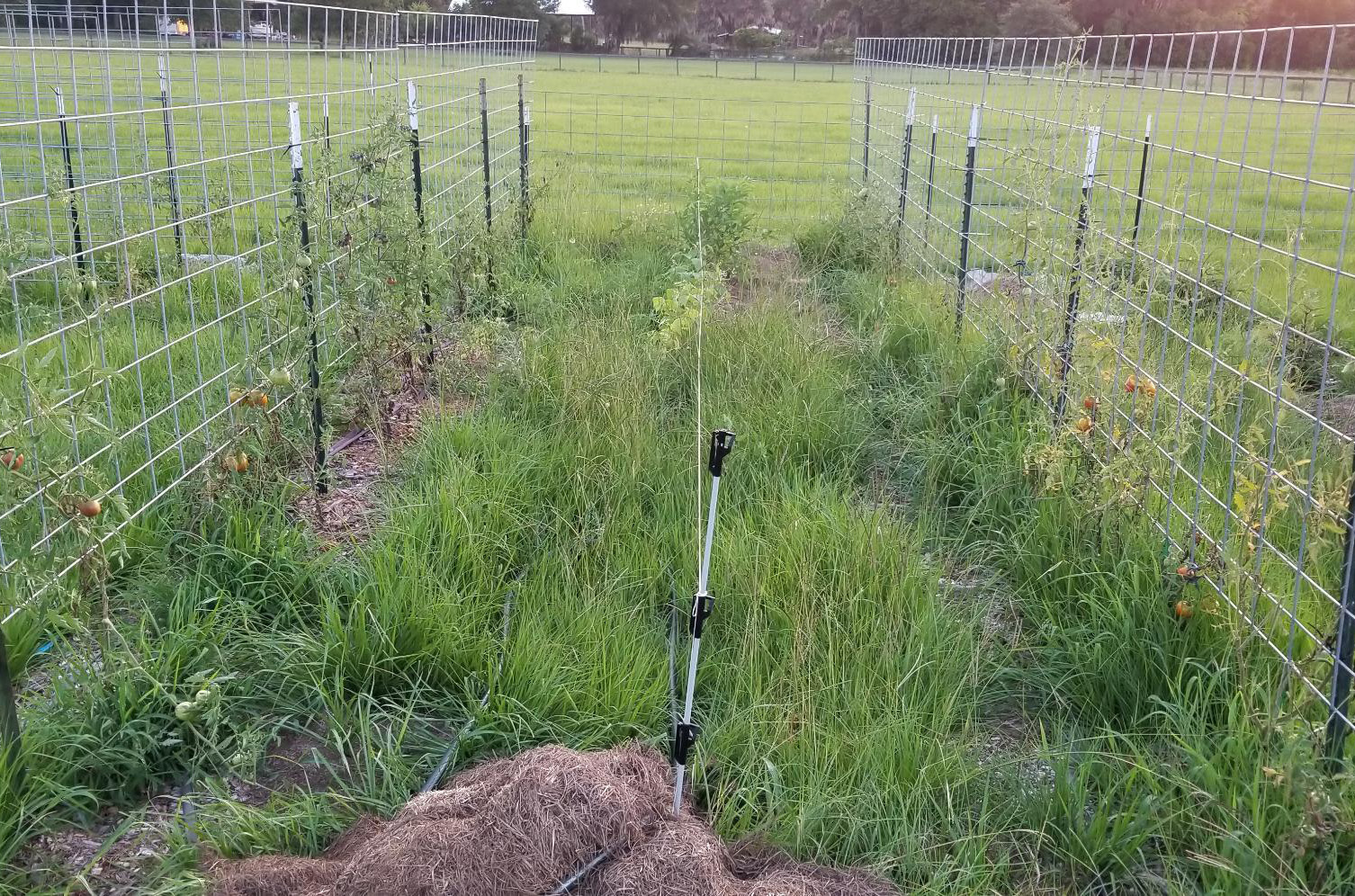 Livestock Equipment