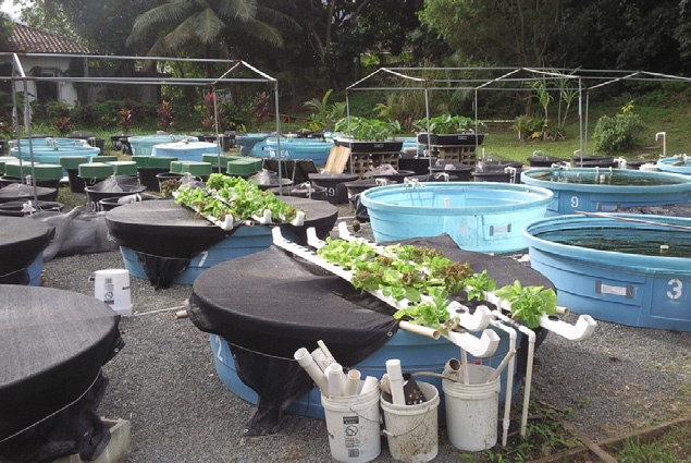 Aquaculture Accessories
