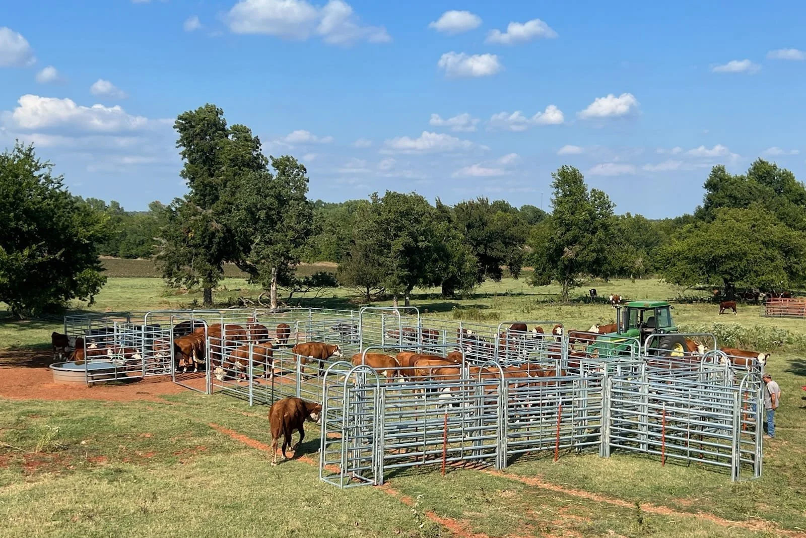 Cattle Panels