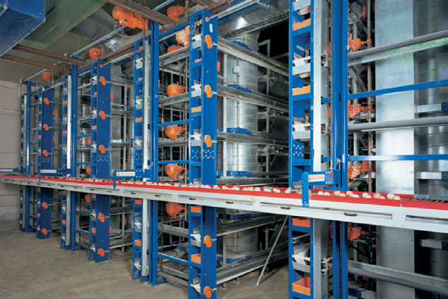 Egg Conveyor Machine