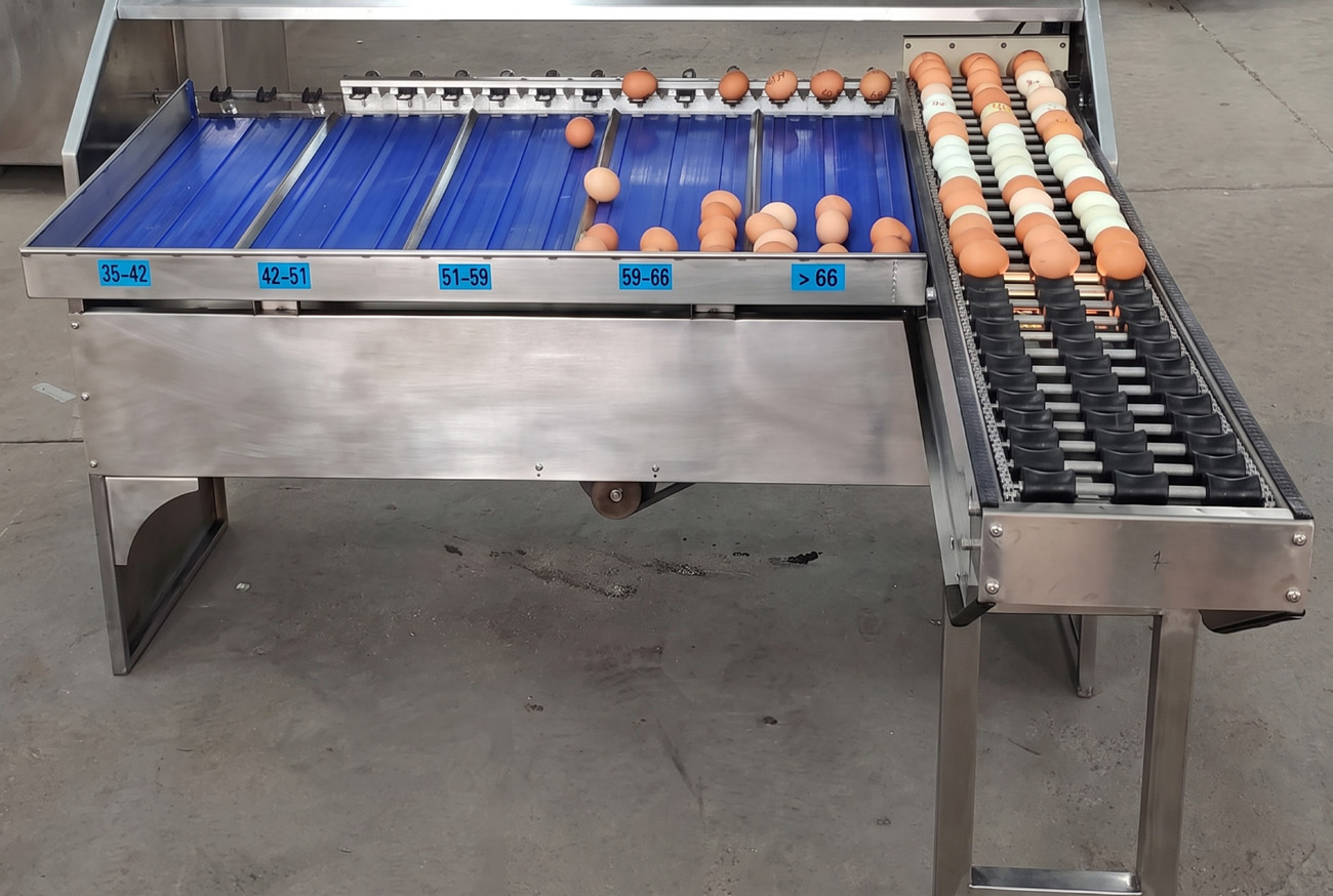 Egg Sizing Machine