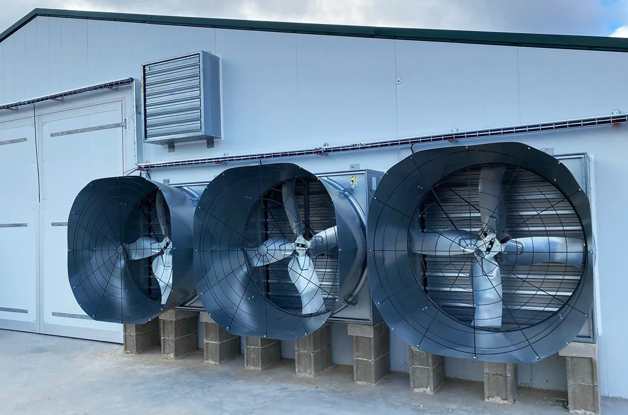 Exhaust Fan