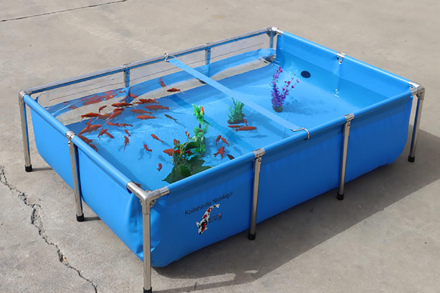 Fish Pond