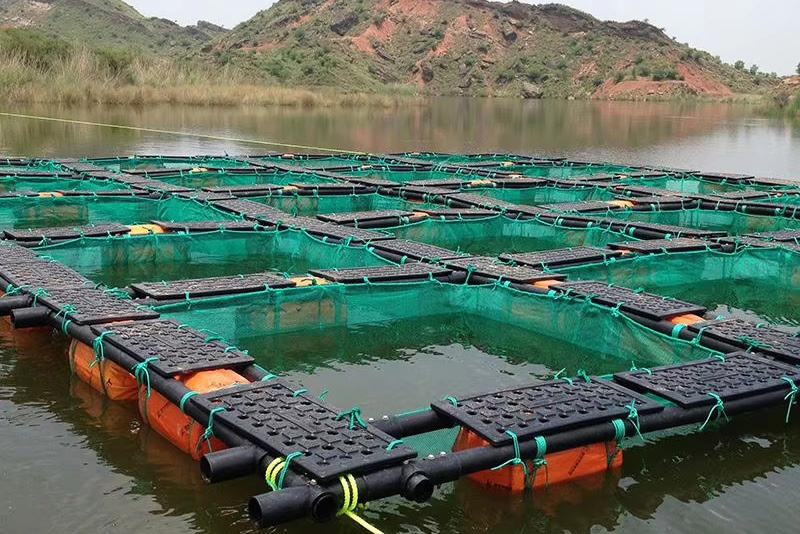 Floating Cage