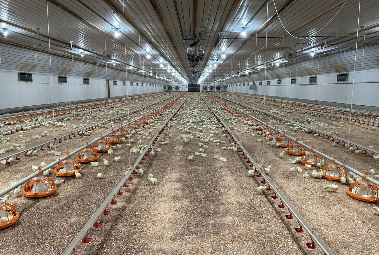 Floor-Rearing Equipment