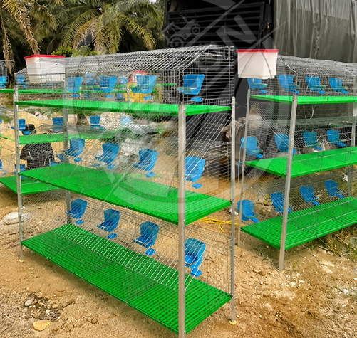 Rabbit Cage