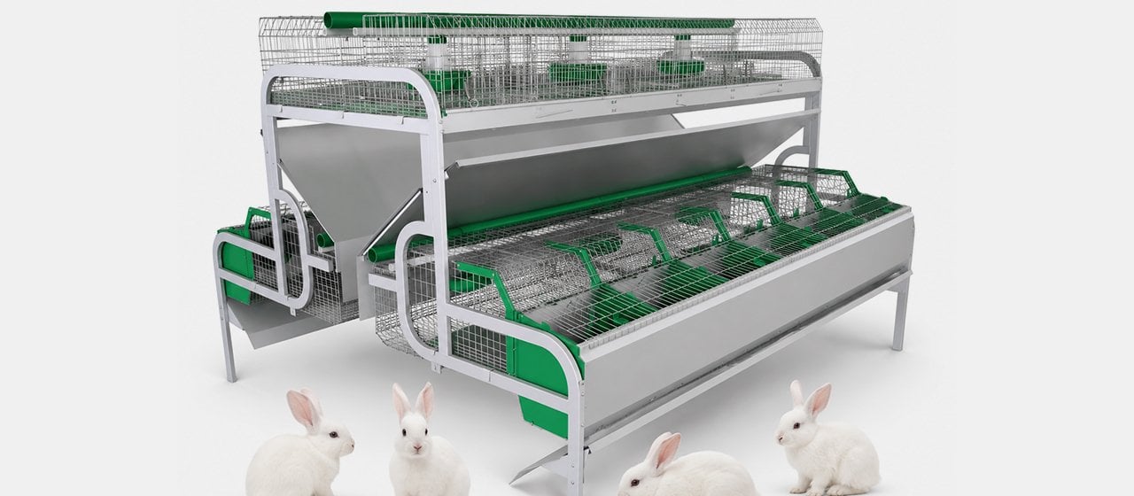 European Rabbit Cage