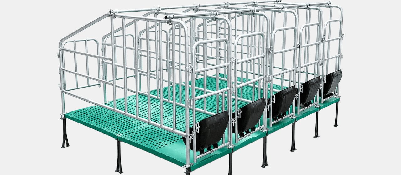Gestation Crate