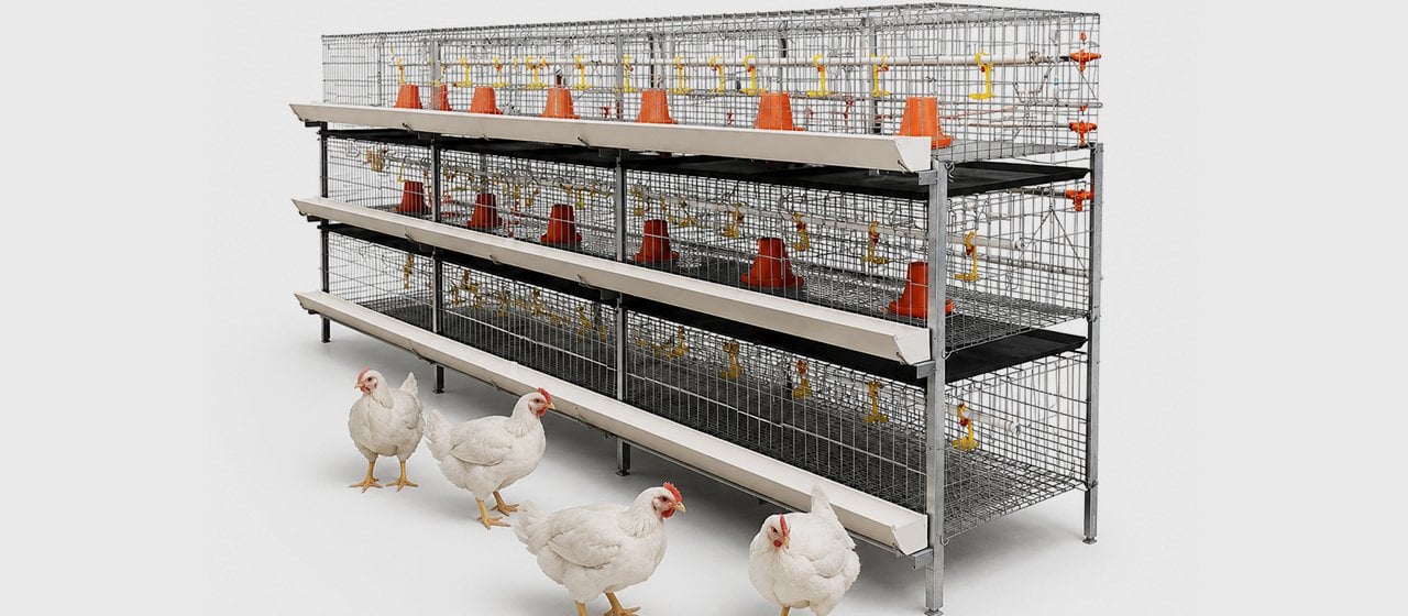 H-Frame Broiler Cage
